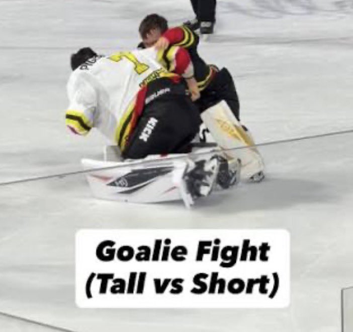 stubborn hockey lesbian tweet media