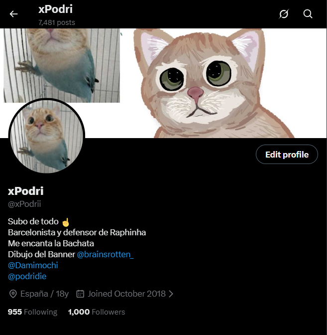 xPodri tweet media
