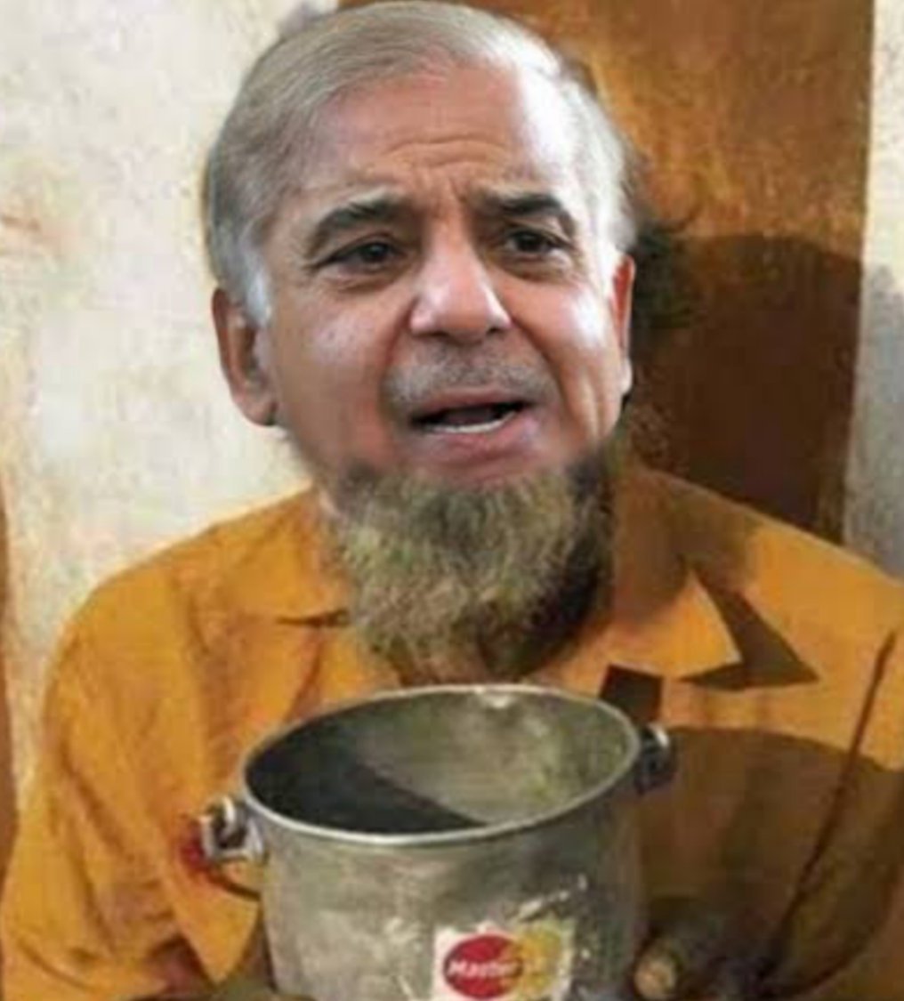 Indian Catalyst tweet media