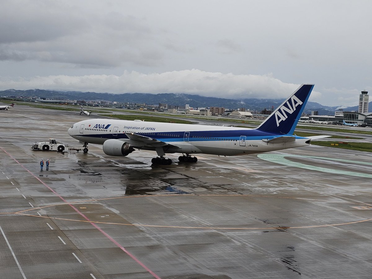 ぶーたん tweet media