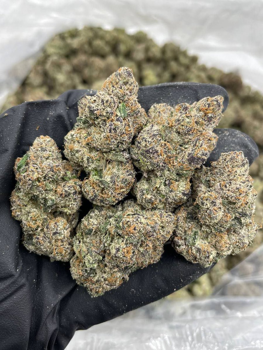 zanku2099's tweet image. Waterloo 319 and Dubuque 563 plug weed chronic weed Mary Jane ☀️ Stocking weed broccoli weed flower who tapping plug? 🔥🍃 #Dank #IowaWeed #Waterloo #Dubuque