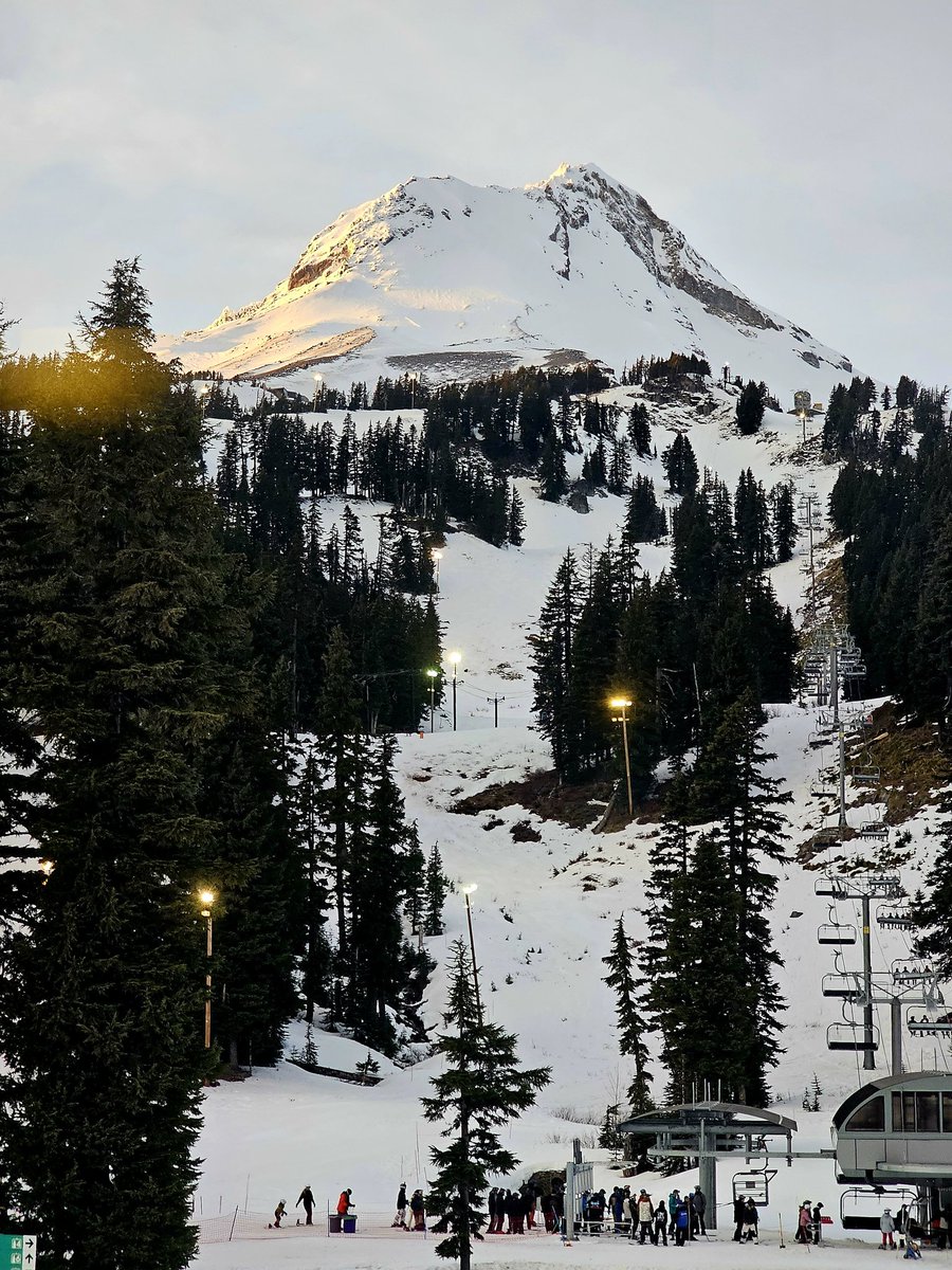 Evan Stravers tweet media