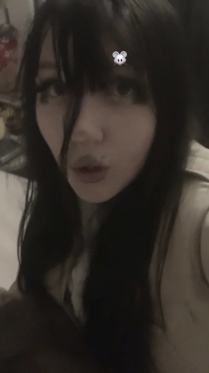 mouse 🐭 tweet media