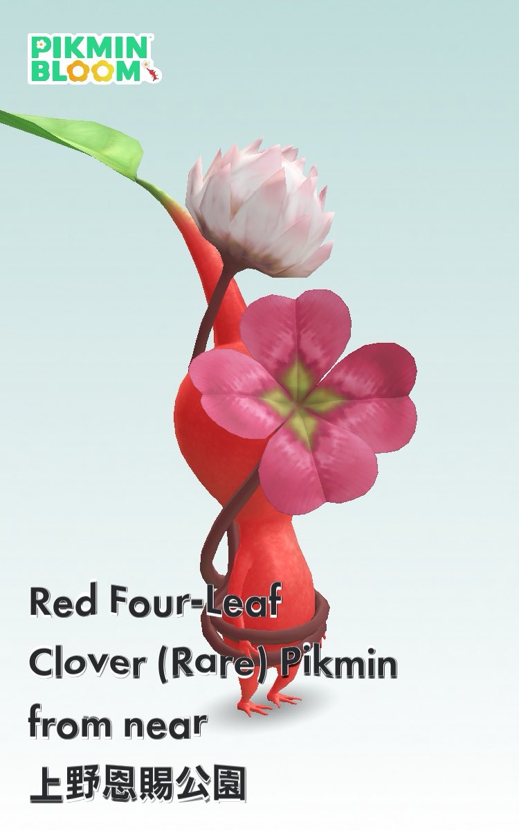 chia_iszk's tweet image. #PikminBloom
#ピクミンブルーム