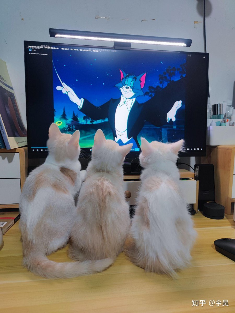 Daria Wild tweet media