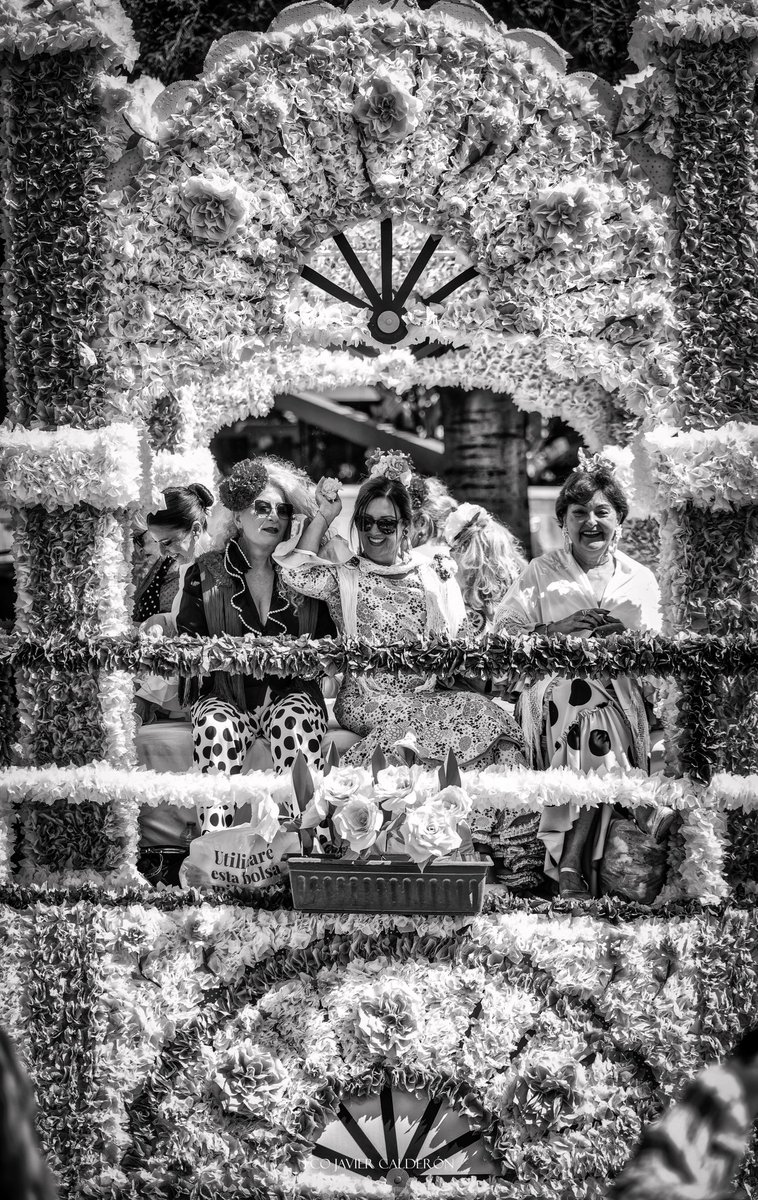 fjcalderon_foto's tweet image. Qué bonitas son las Tradiciones Cordobesas.

#Córdoba #batalladelasflores #mayo