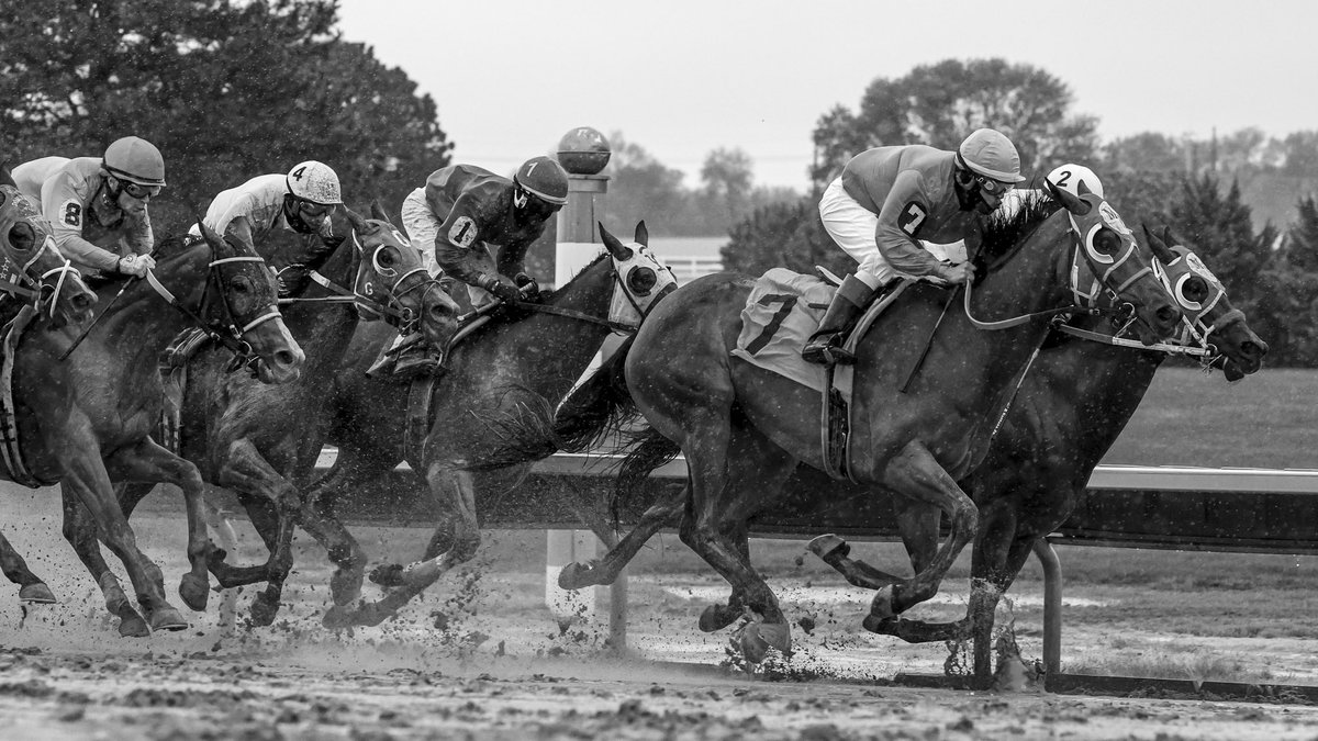 sgtjiggy's tweet photo. Fonner Park in the wet and mud! Good day for b/w pics @sgtjiggy2017 @FonnerRacing @chriskotulak https://t.co/3V0JnwPfOM