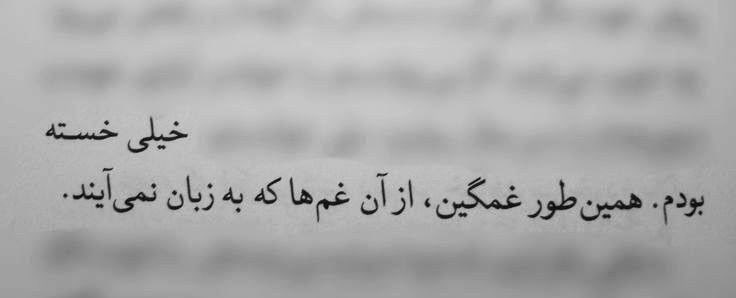 آلوچه جنگلی tweet media