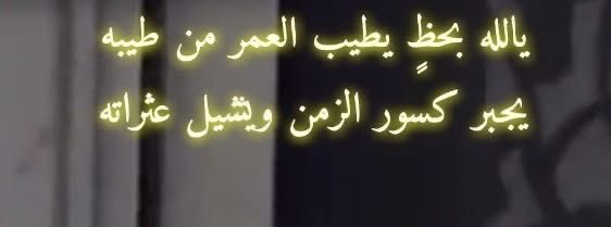 ابوطلال - ناصر tweet media