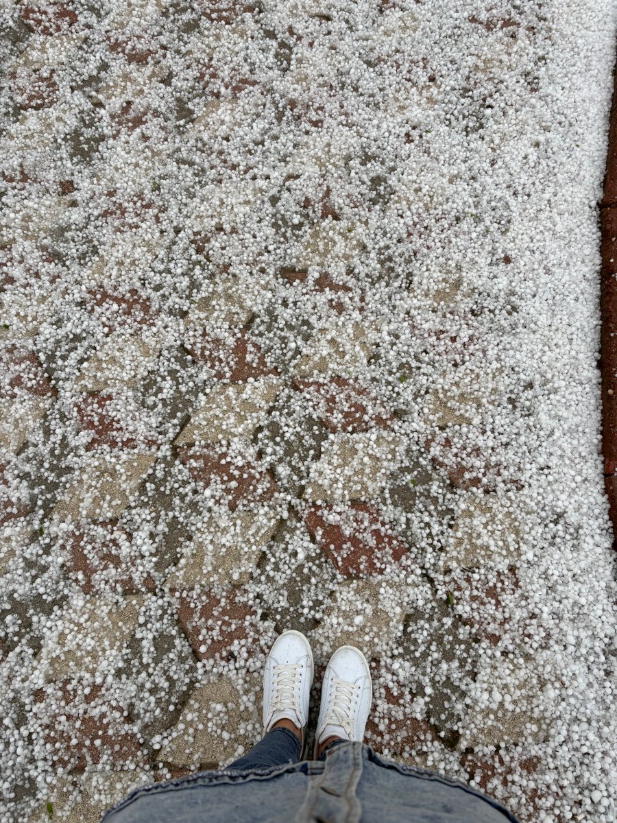 #elazığ #dolu #felaket 
Gitti ekinler…
Gitti badem çiçekleri ...