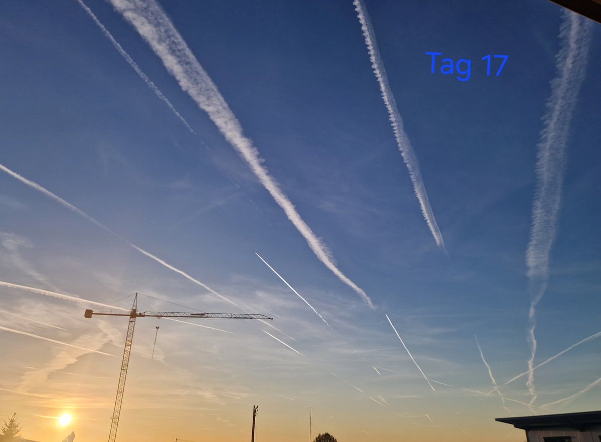 Lisie Schagerl tweet media