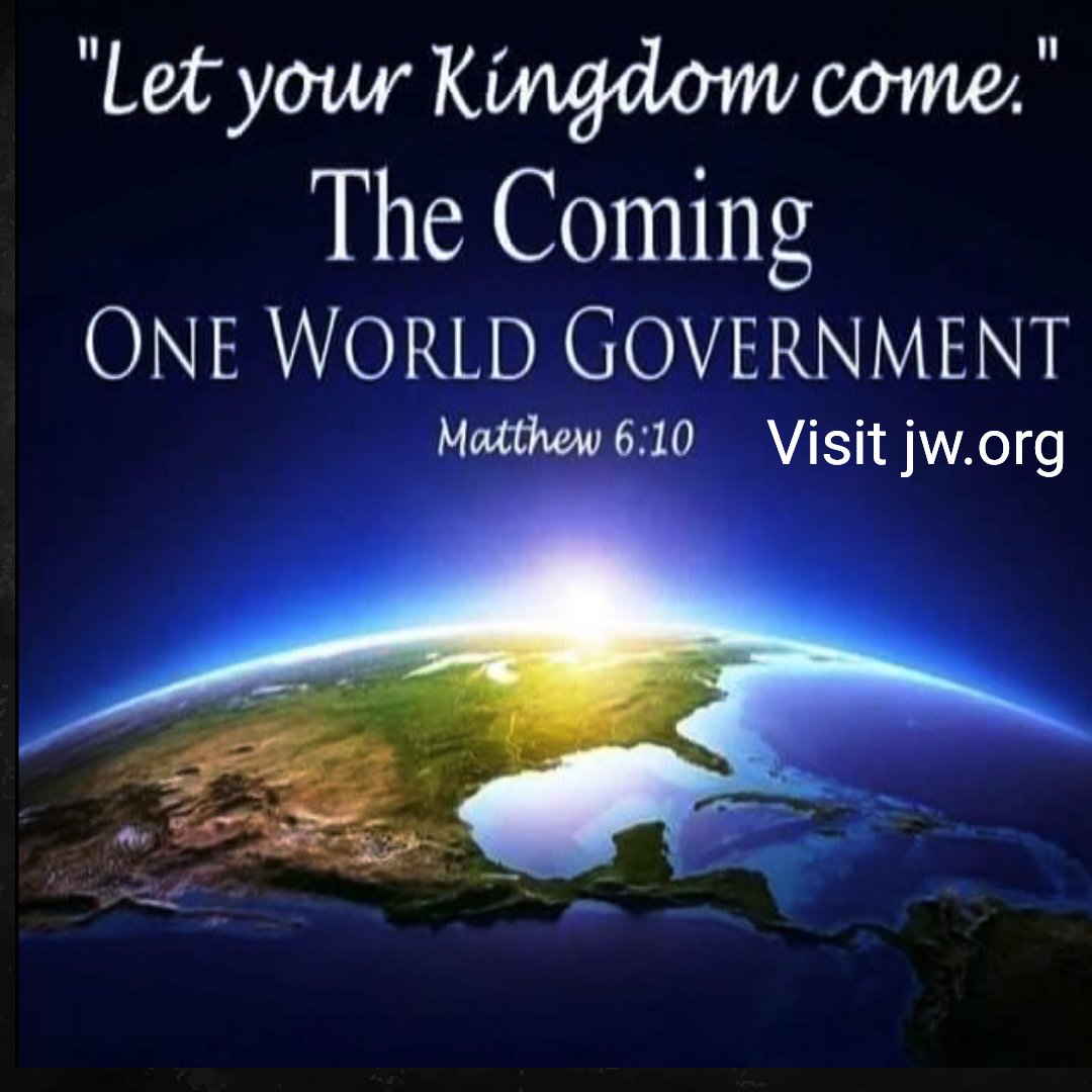 linda laureigh tweet media