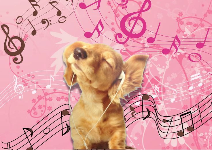 beki ⋆˚꩜｡݁ ˖Ი𐑼⋆ tweet media