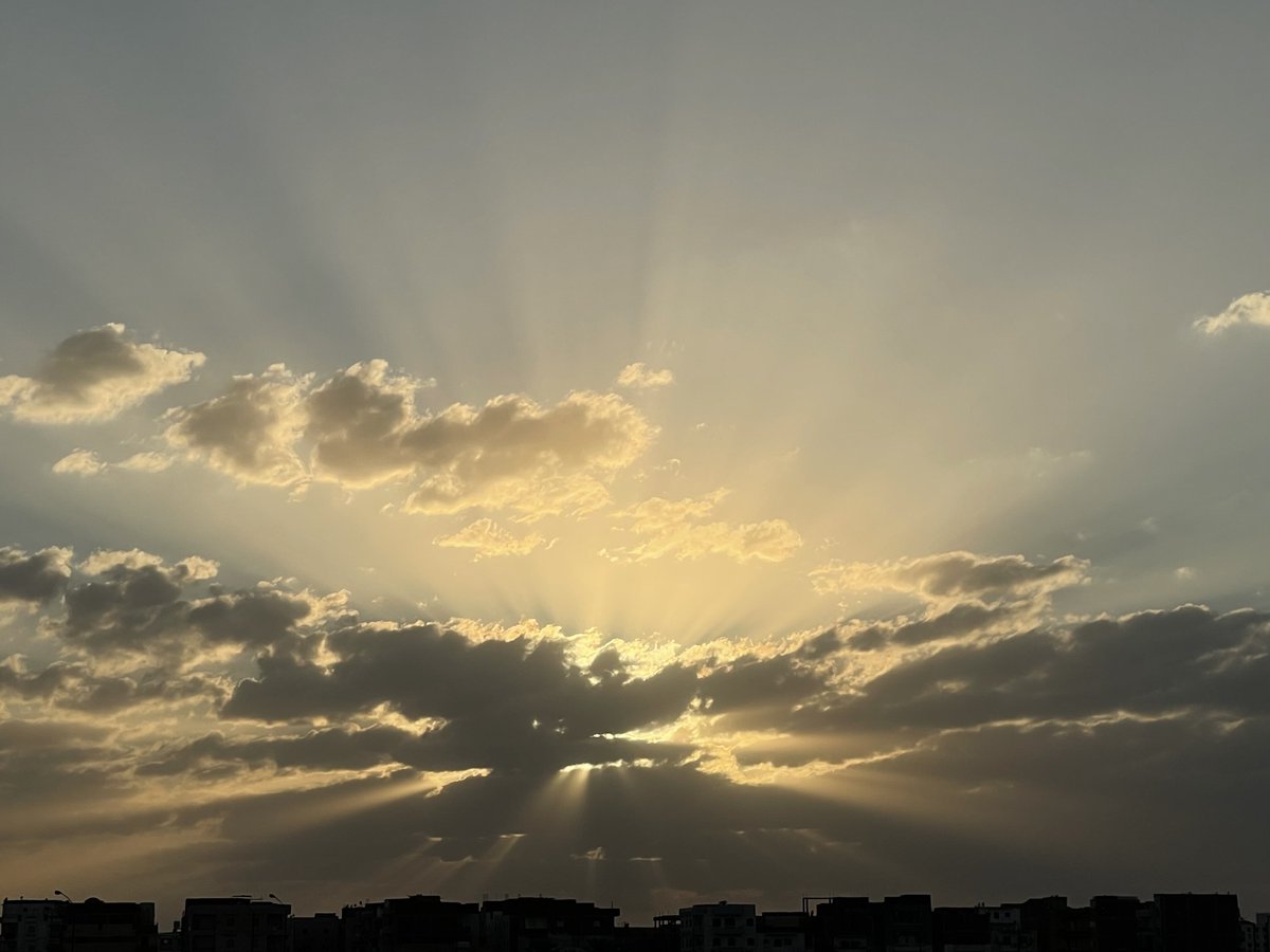 doma eleswed 🤷🏼‍♀️ tweet media