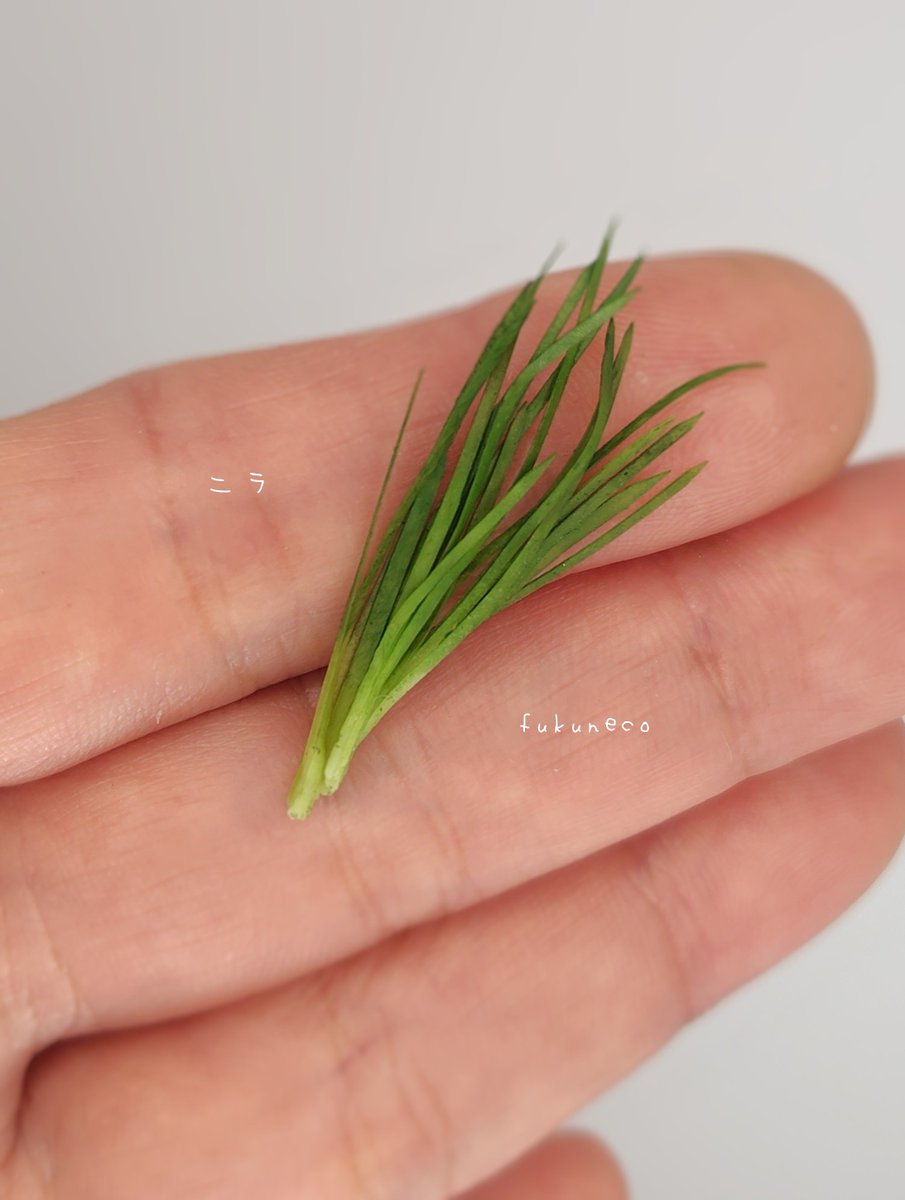 fuku_ne_comini's tweet image. ニラを作りました😸
田中智先生のオンライン教室の課題の1つです✨️
#miniature