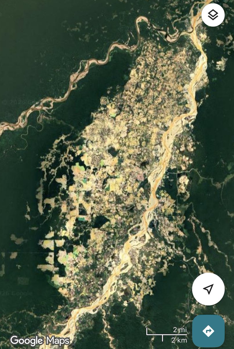 Nick Volpe tweet media