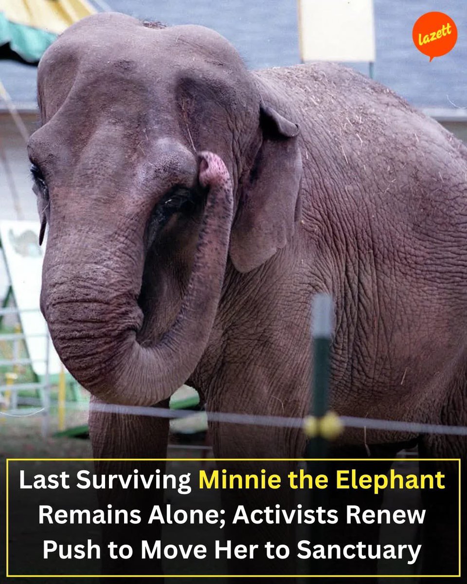 PROTECT ALL WILDLIFE tweet media