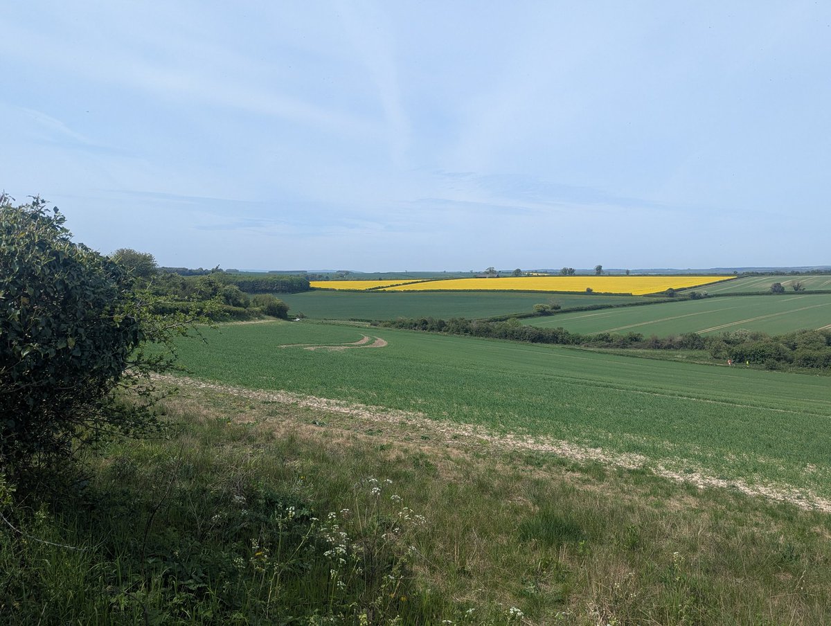 RecyclerBill's tweet image. Today was spent taking a jog round St. Giles Estate, Dorset... 
A nice smell of sewage sludge spreading kept me company for about half the route 👌👍😁
#Wellbeing #MentalHealthAwareness #AnswerAsAPercent 💯