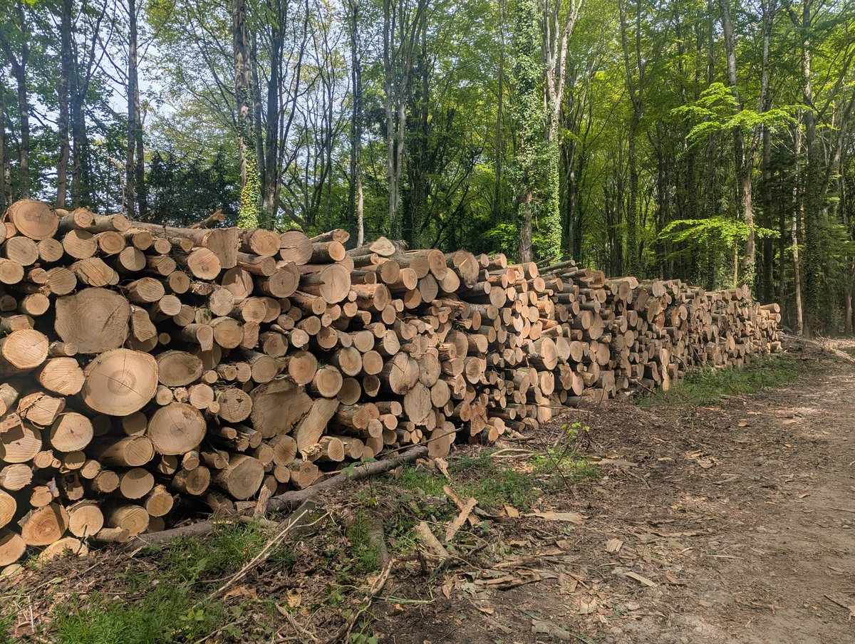 RecyclerBill's tweet image. Today was spent taking a jog round St. Giles Estate, Dorset... 
A nice smell of sewage sludge spreading kept me company for about half the route 👌👍😁
#Wellbeing #MentalHealthAwareness #AnswerAsAPercent 💯