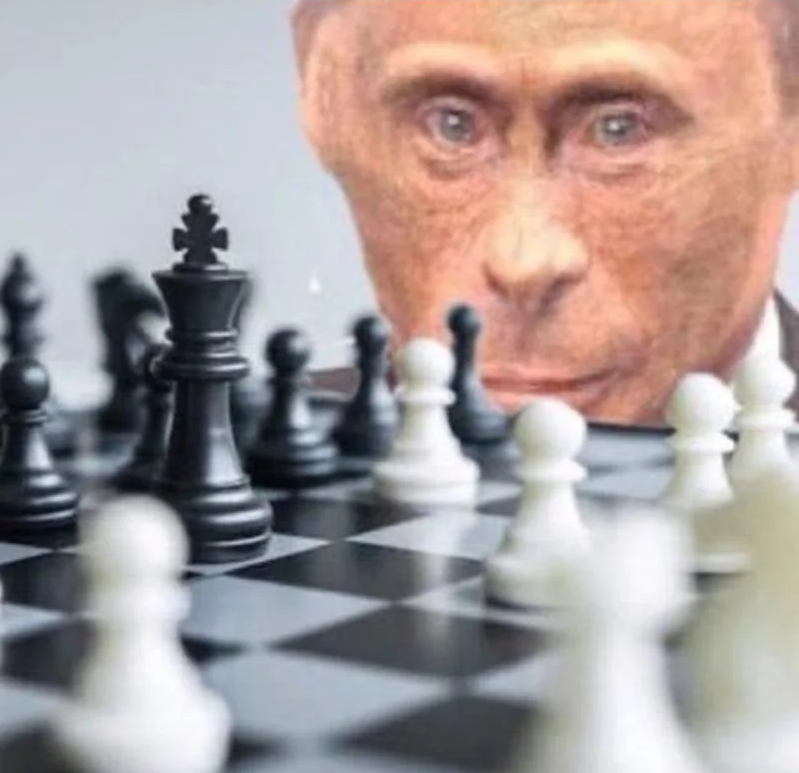 Templarpilled tweet media