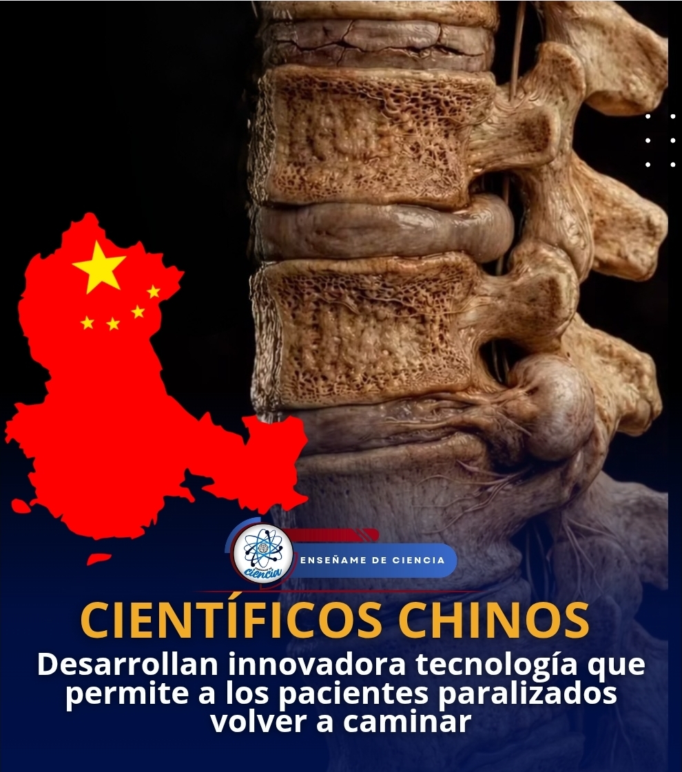 Enséñame de Ciencia tweet media