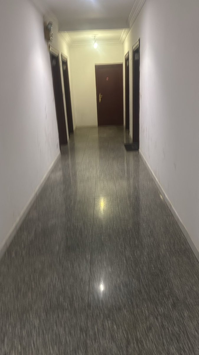 Lyle Emily tweet media