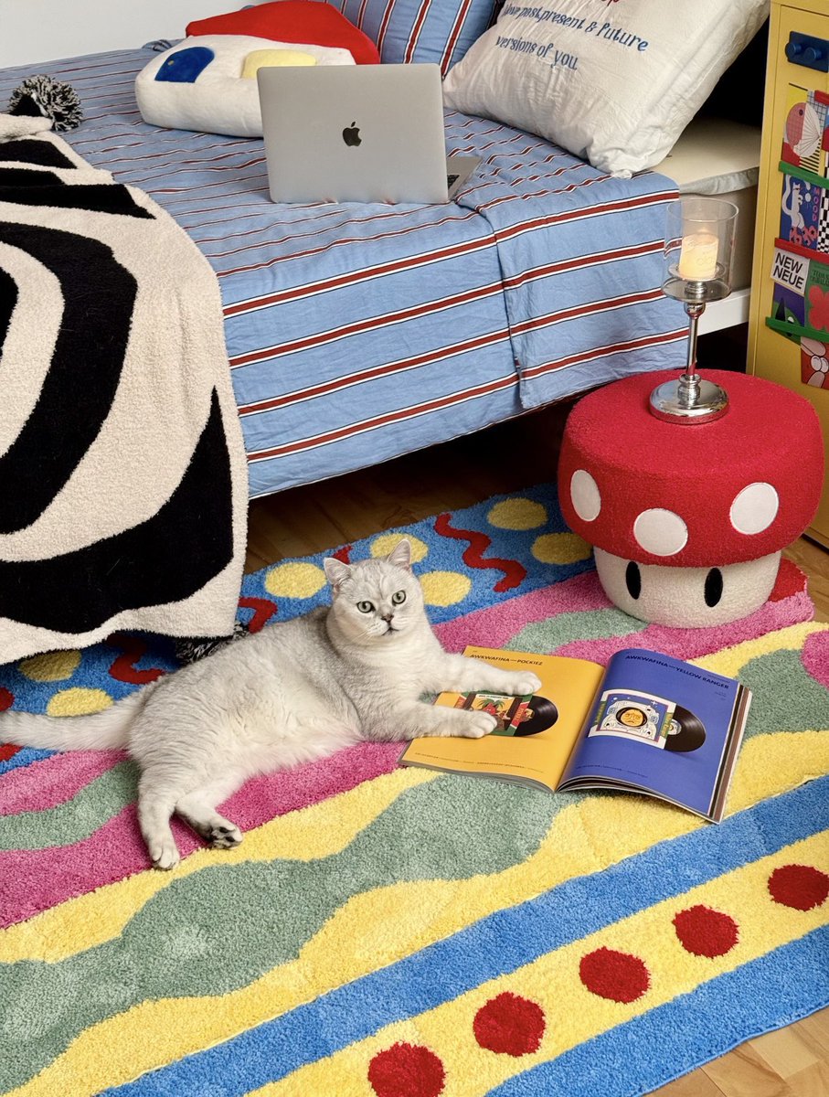 tsuki kuro tweet media