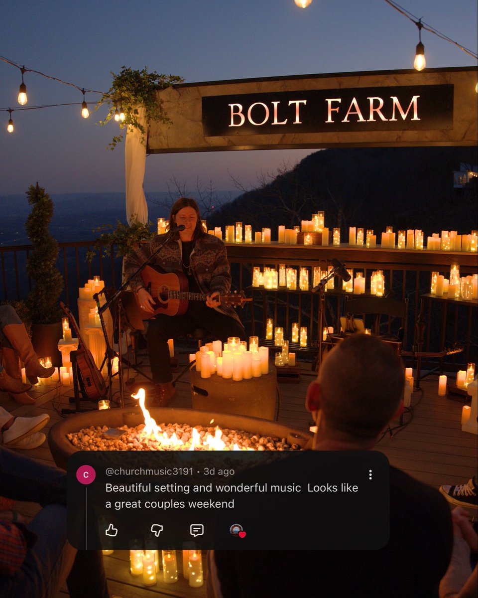 Bolt Farm Treehouse tweet media