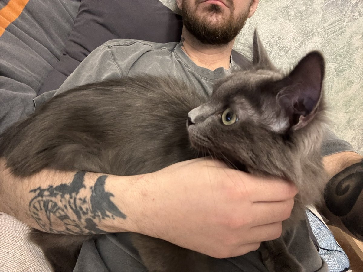 Лежим с котёночком