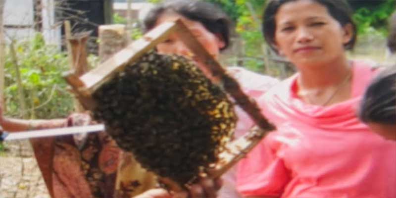 Arunachal24in's tweet image. Over 40 farmers trained in beekeeping and sericulture at Sille farm in East Siang district.

read more- arunachal24.in/arunachal-beek…

#Arunachal #Farmers #Sericulture #Beekeeping #Rural