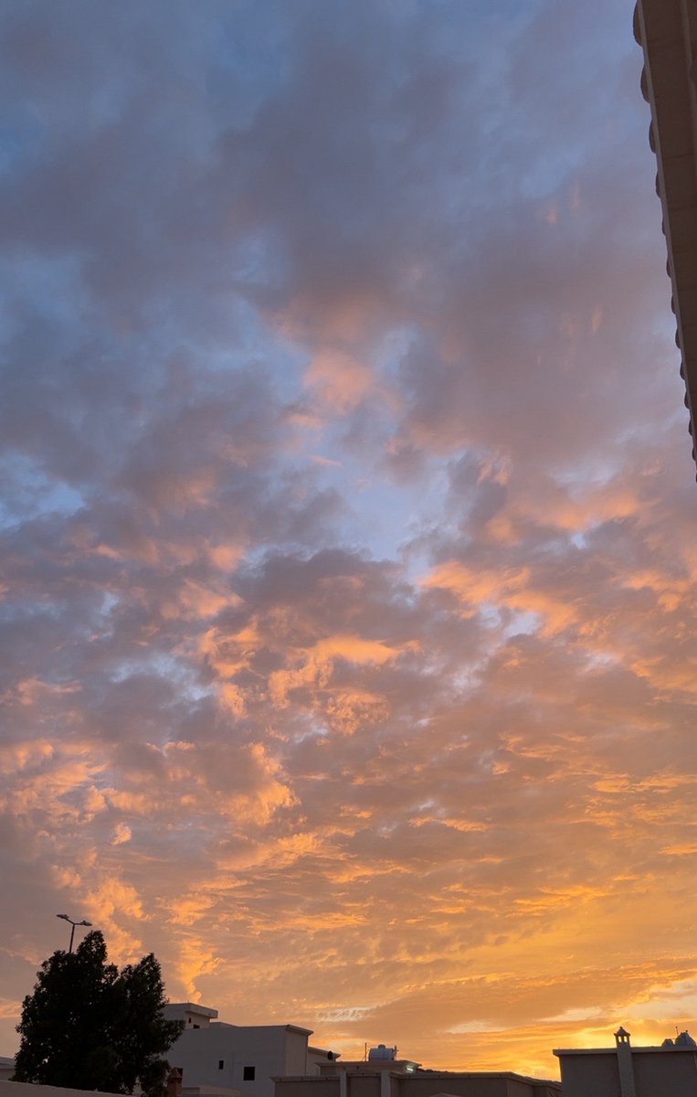 نايف tweet media