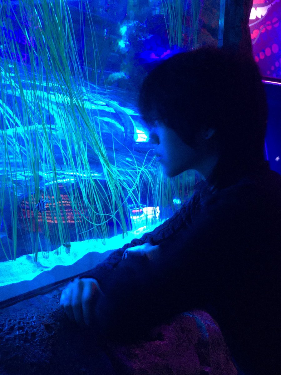 푸를 청 tweet media