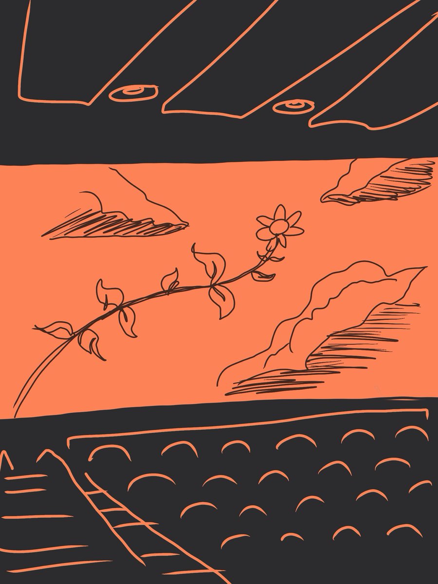 jakedowns tweet media