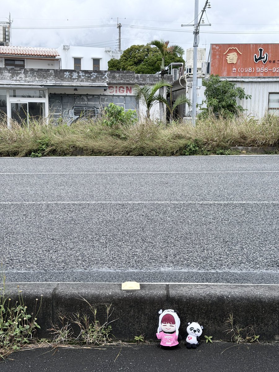 yhuoknaami(honamyu) tweet media