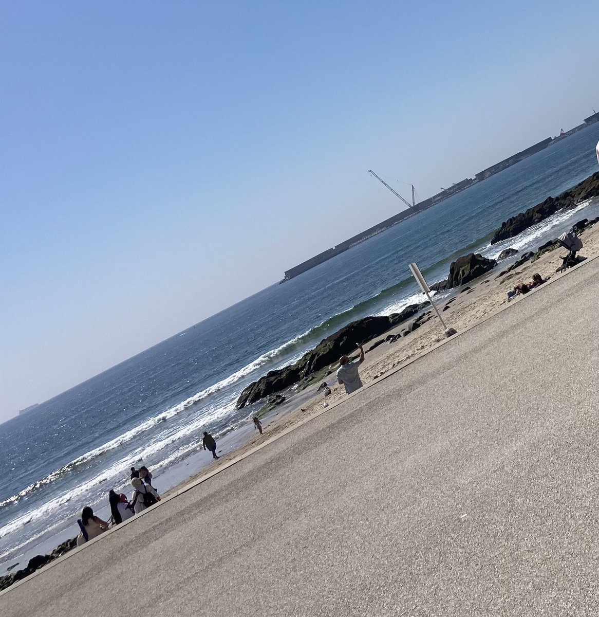 pipasbrandao's tweet image. #brunch