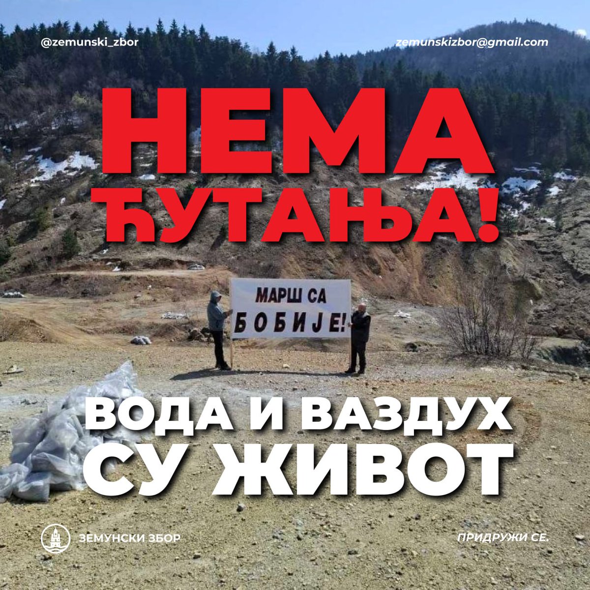 Zemunski zbor/Земунски збор tweet media
