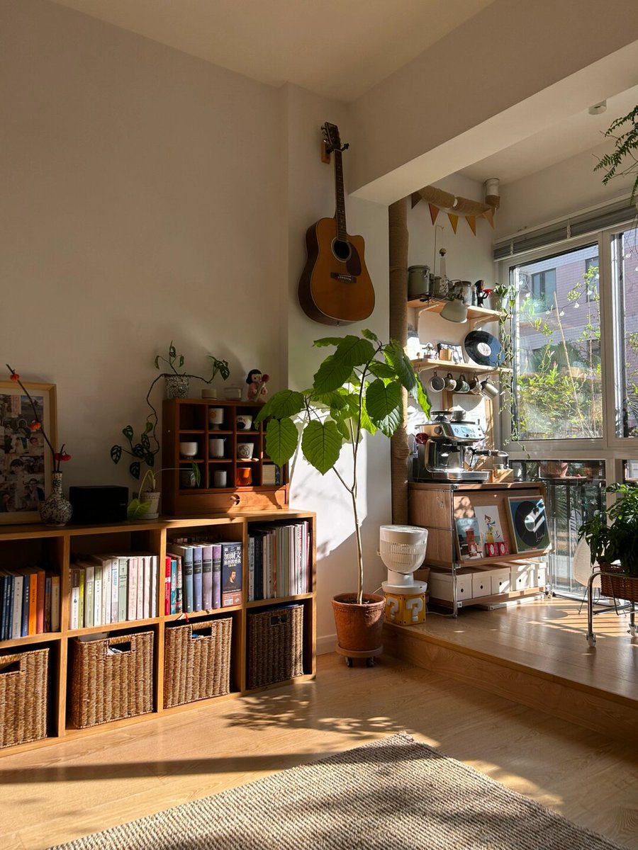 Destiny(; tweet media