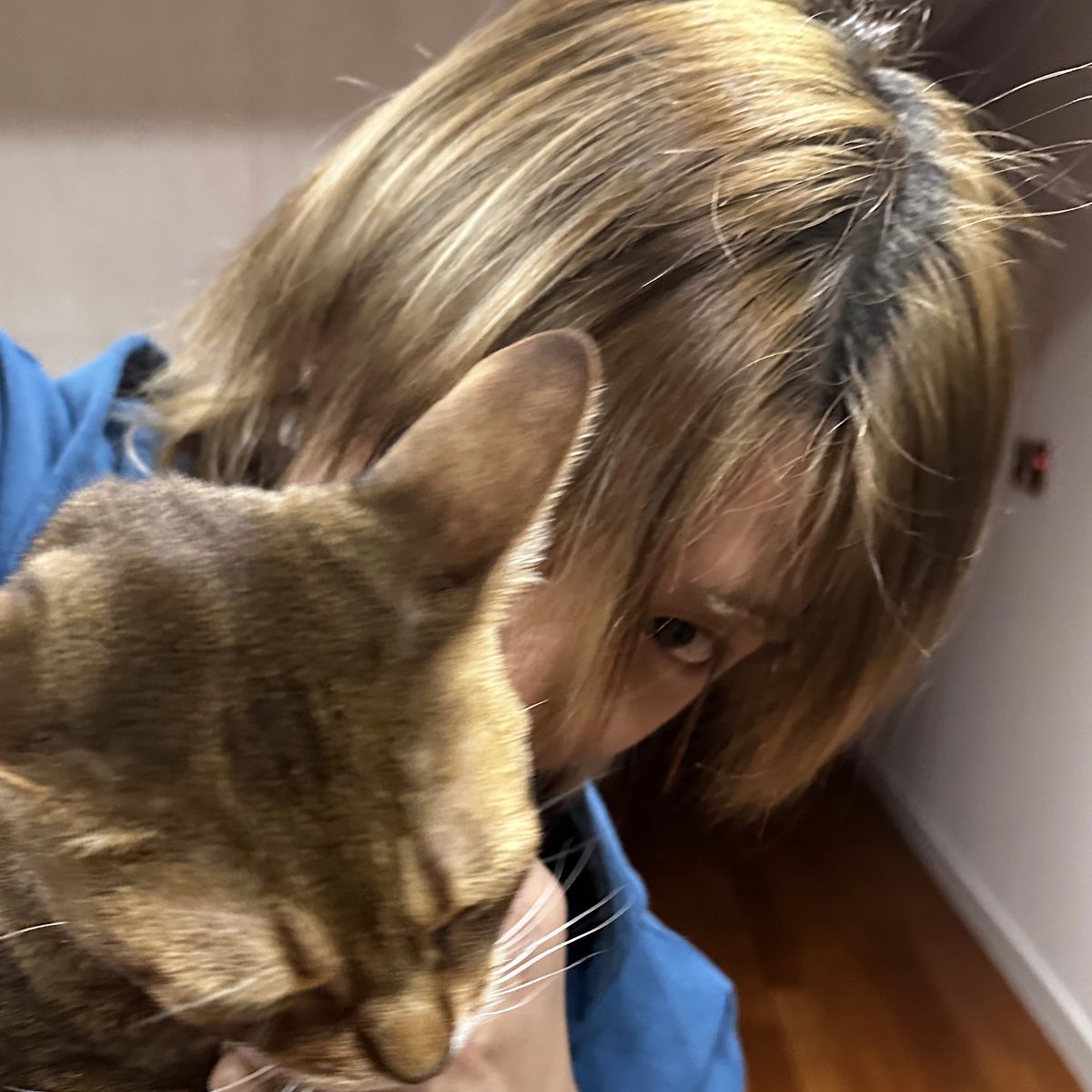 nin ୨ৎ .ᐟ tweet media