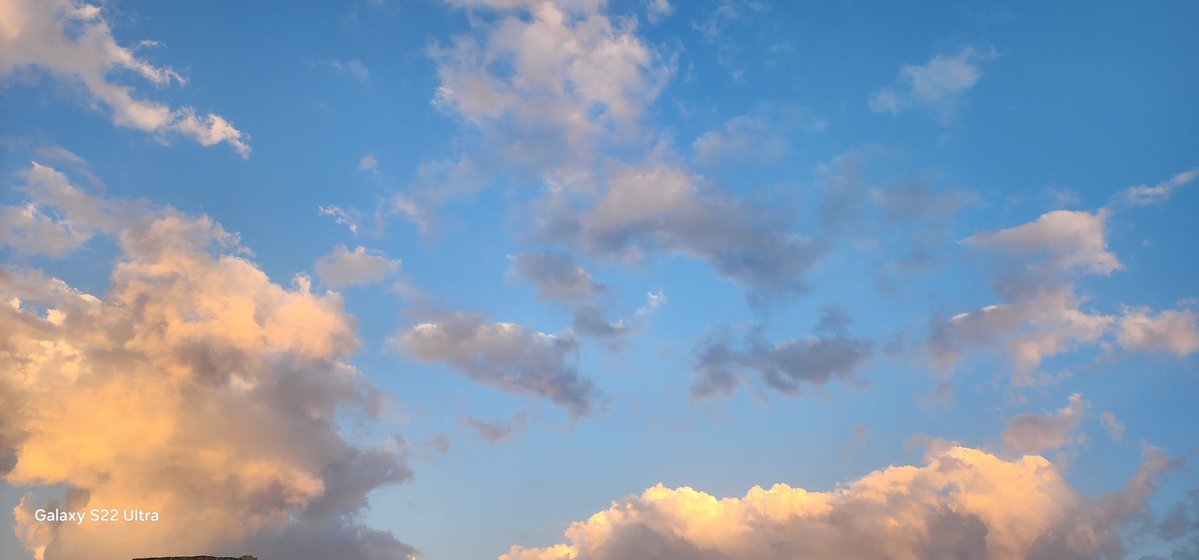 Belalhaidar tweet media