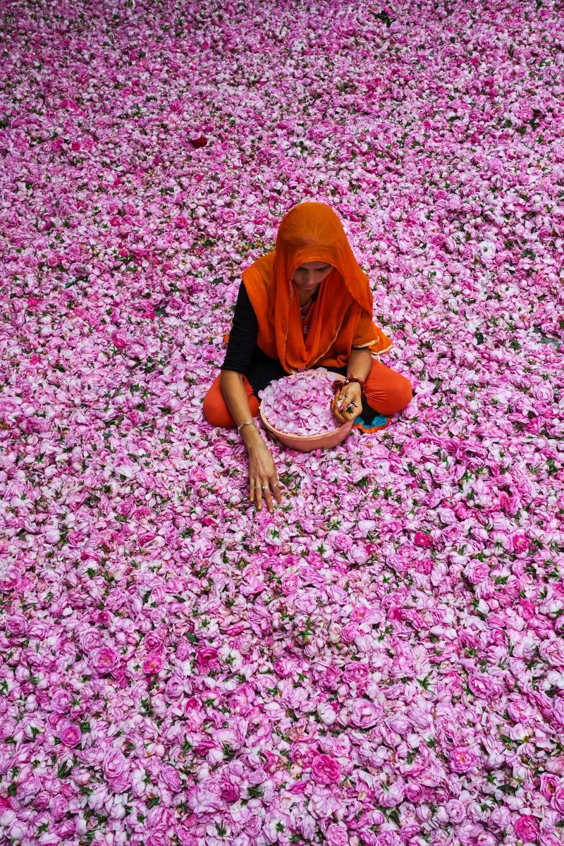 La Joie Du Peuple tweet media