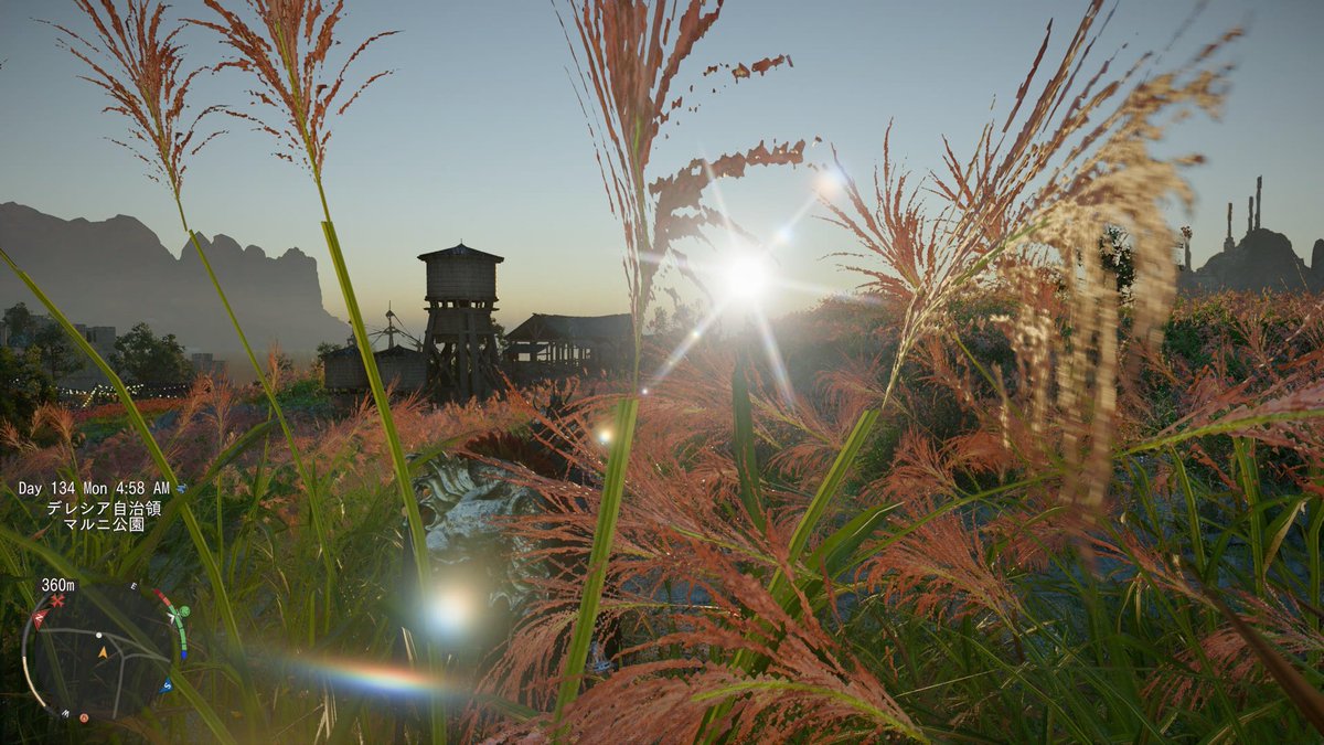 nehorihahori tweet media