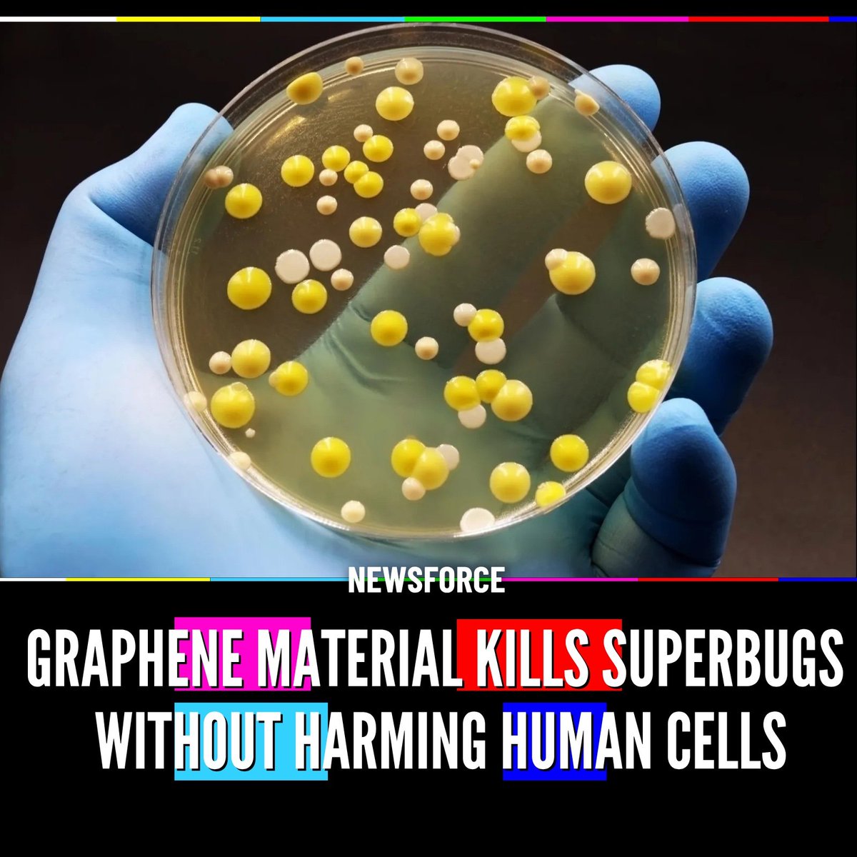 NewsForce tweet media