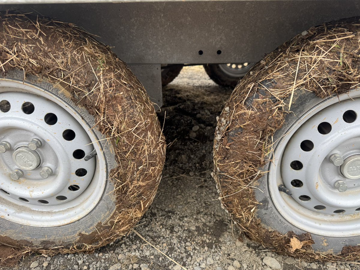 Vignir Fkn Heiðars tweet media