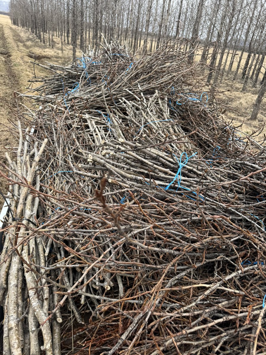 Vignir Fkn Heiðars tweet media