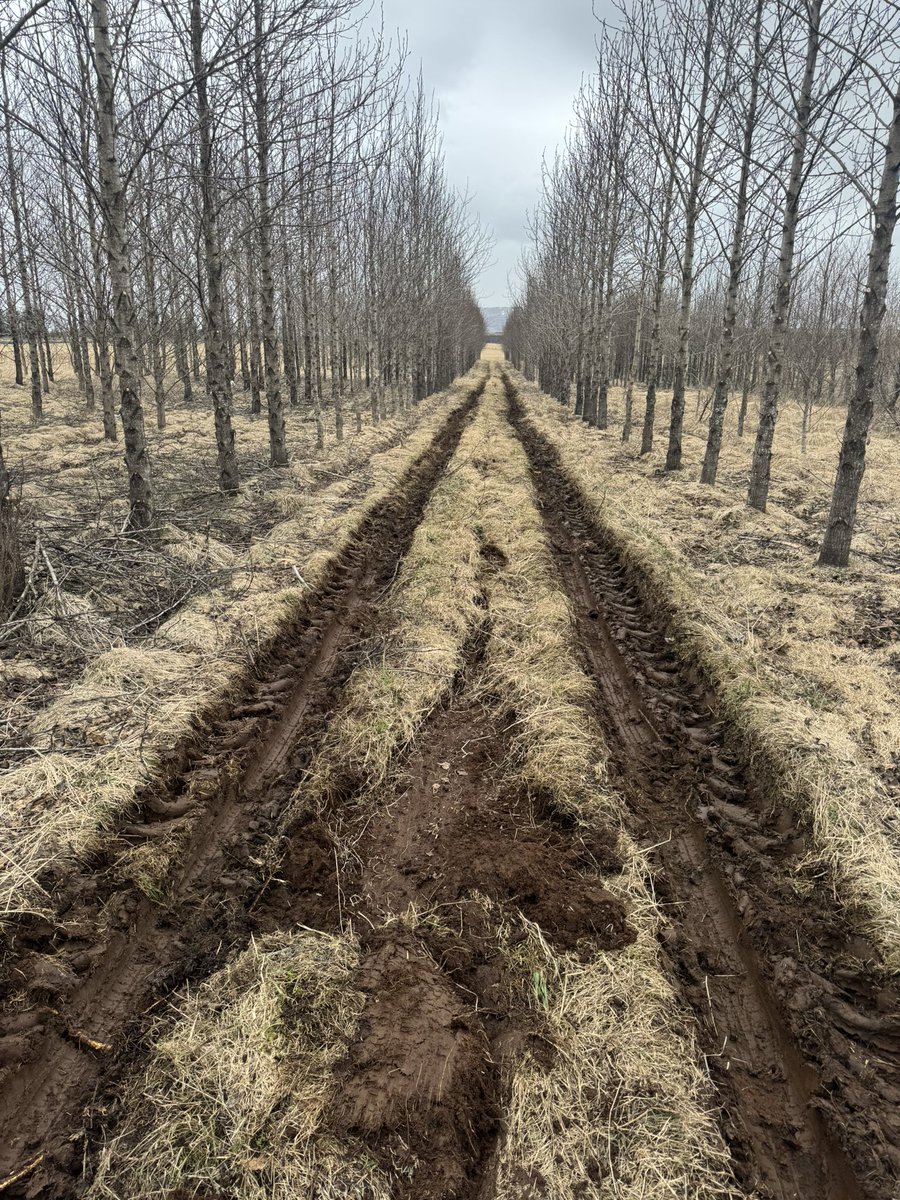 Vignir Fkn Heiðars tweet media