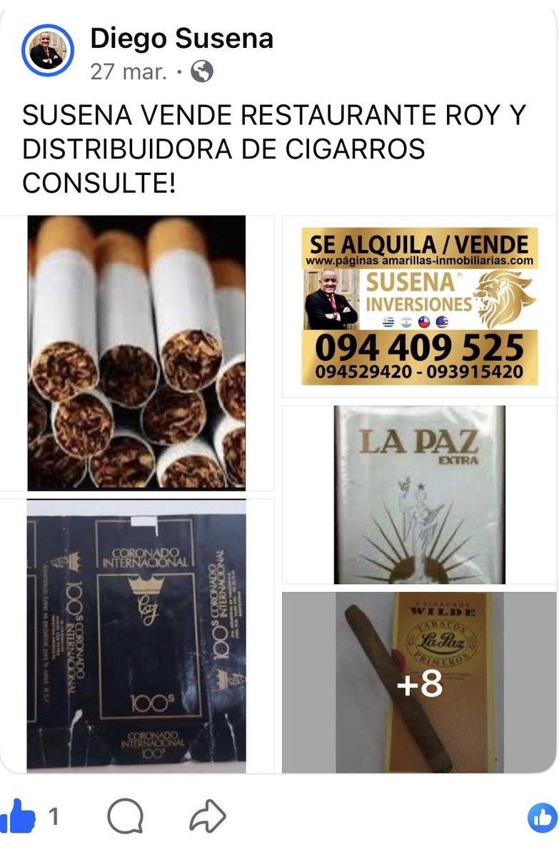 SUSENA INVERSIONES