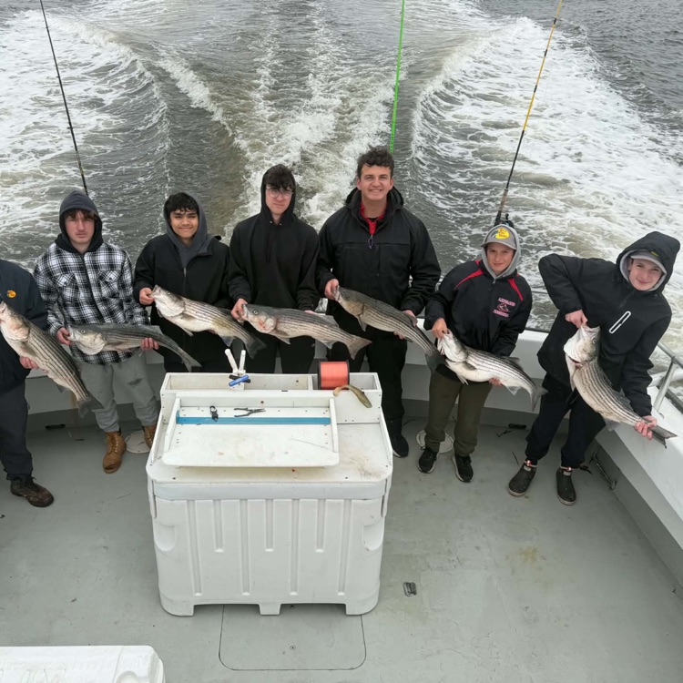 Lakeland Regional tweet media