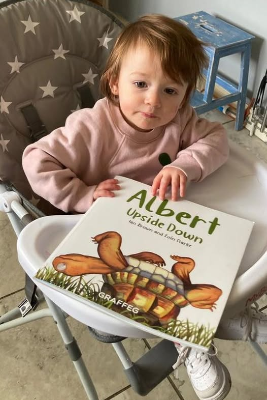 AlbertTortoise's tweet image. Please keep sharing YOUR terrific #ALBERTthetortoise #pictures. Posing now possible with 9 #ALBERT #picturebooks, 3 #BoardBooks &amp;amp; #ActivityBook Alberttortoise.com
#tortoise #bookseries #illustrated #upsidedown #earlyreaders #storytime