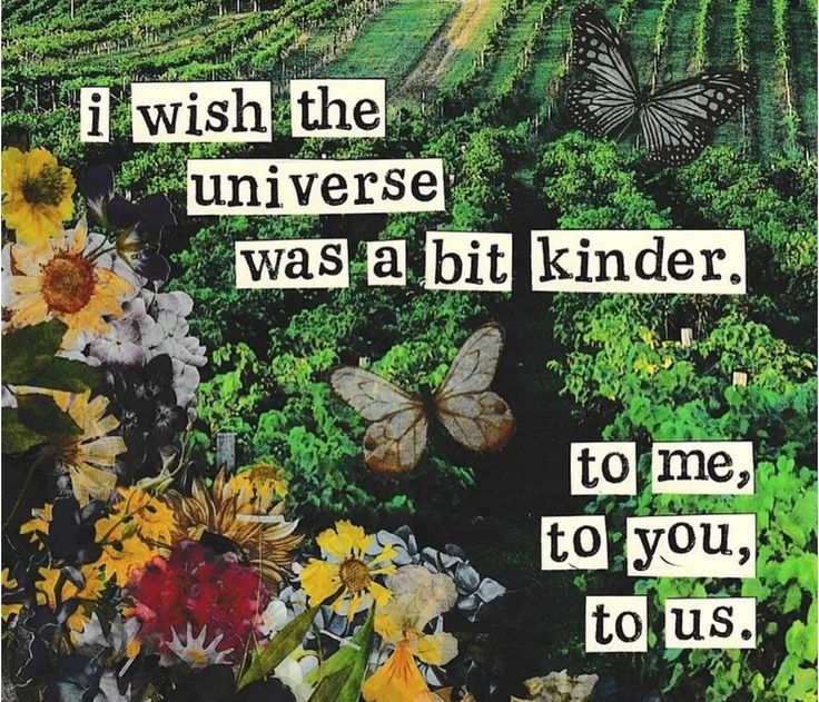 Literarium tweet media