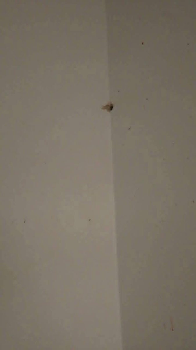 Big Sman.🍥 tweet media